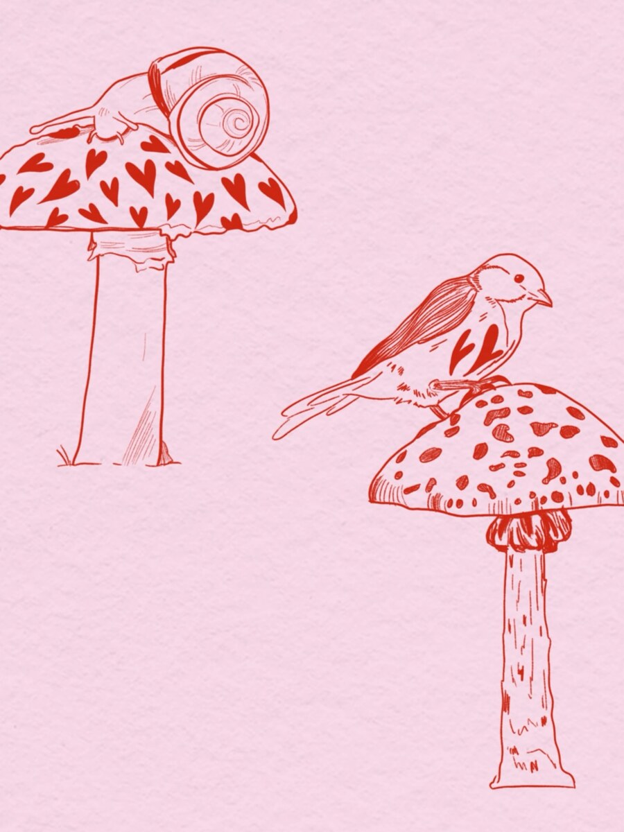 Flash nature au trait, champignon et oiseau, par Momo Duzoo